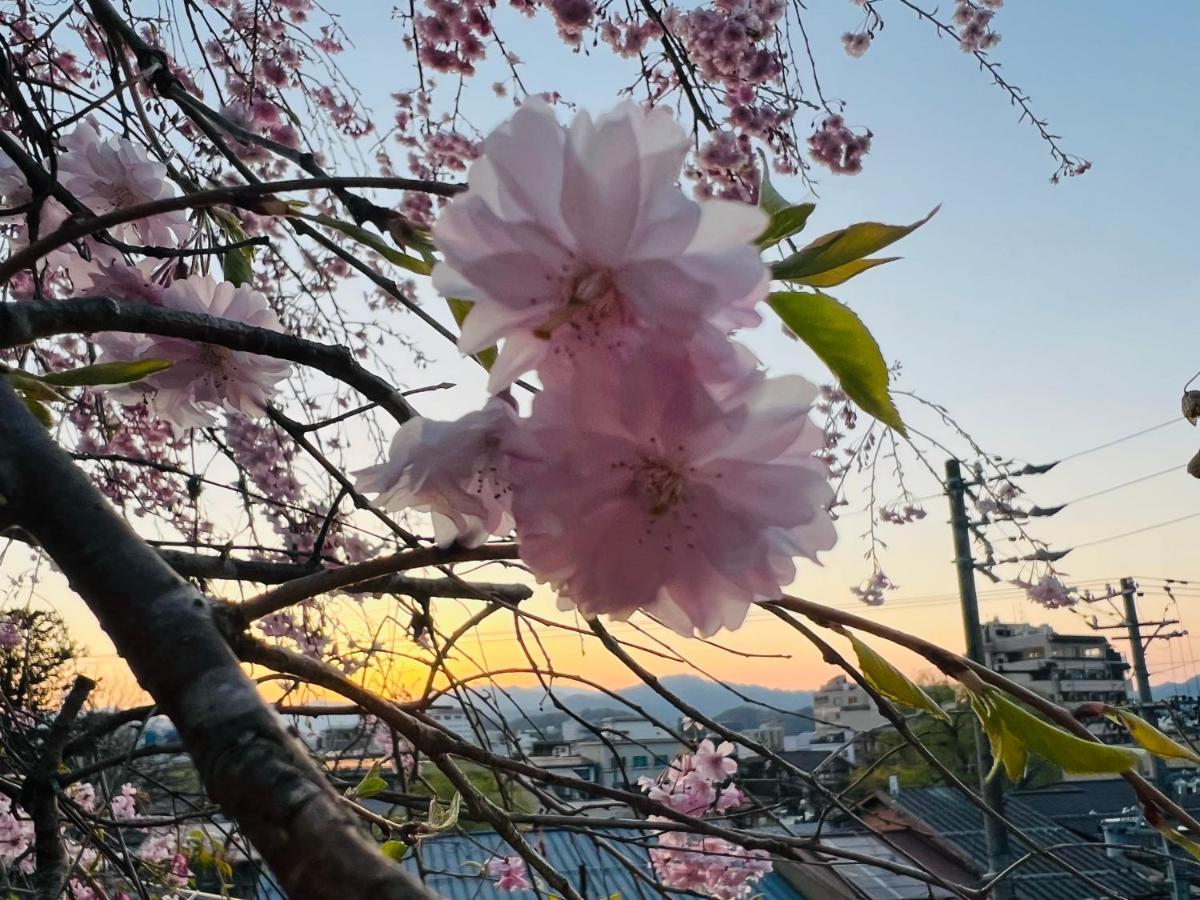 Jas Hotel Takayama Такаяма Екстер'єр фото